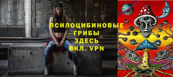 гидра Кинешма