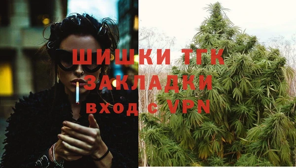 шишки Киреевск