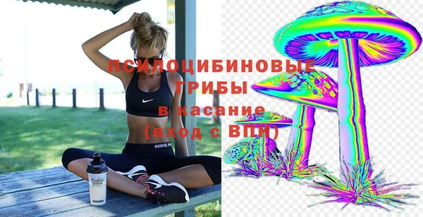 гидра Кинешма