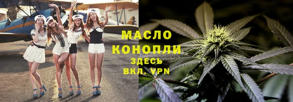 гидра Кинешма