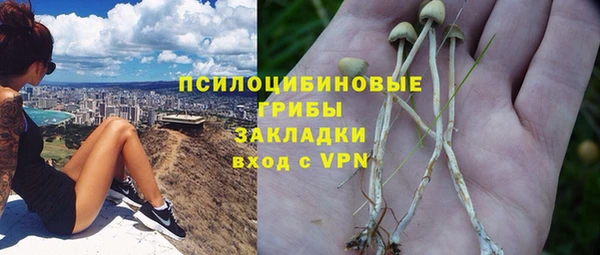 шишки Киреевск