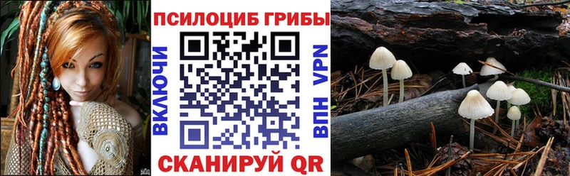 Псилоцибиновые грибы мухоморы  продажа наркотиков  Юрга 